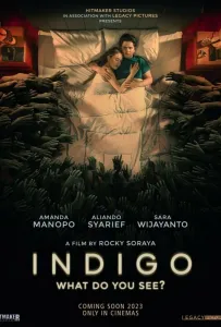Индиго (фильм 2023)