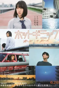 Уловки страсти: Девушка встречает парня (фильм 2019)