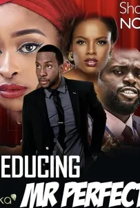 Соблазнить мистера Совершенство (фильм 2019)